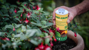 Pro-Grow Rockdust